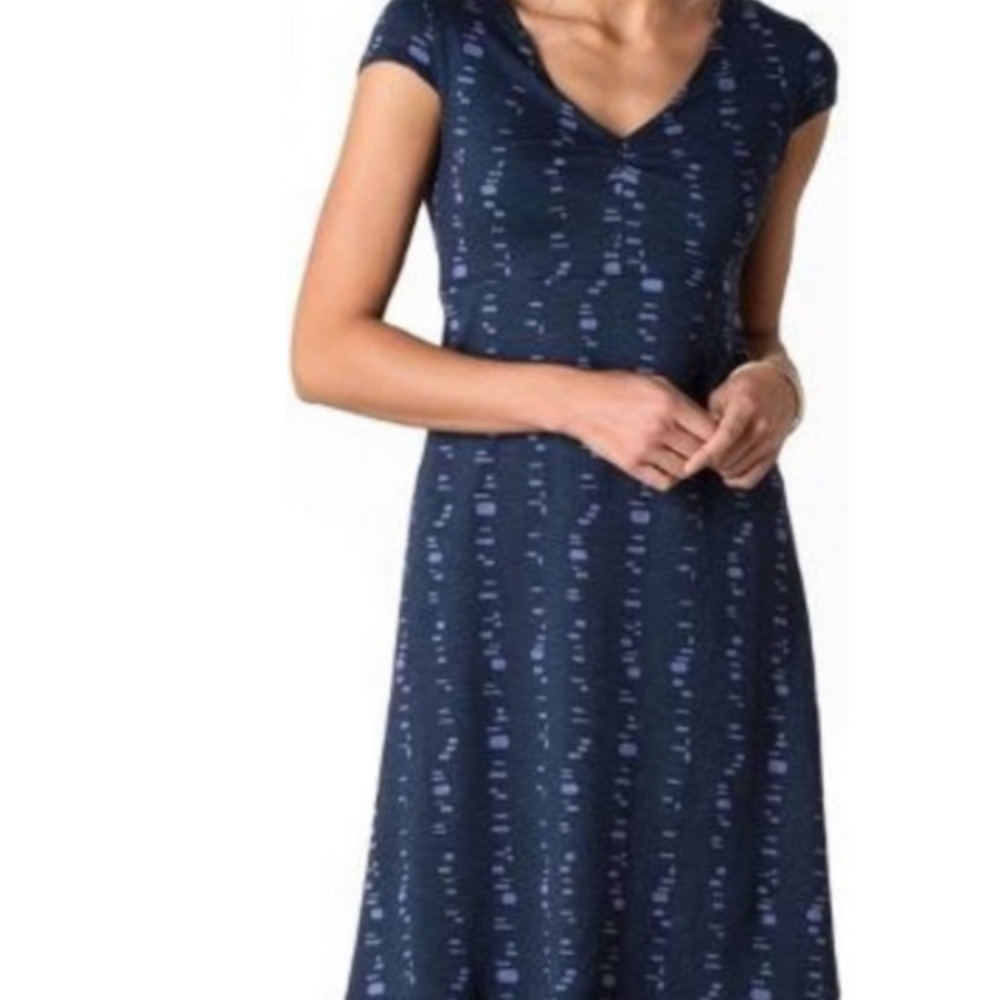 Toad & Co Rosemarie Dress Blue Purple Print Women's M